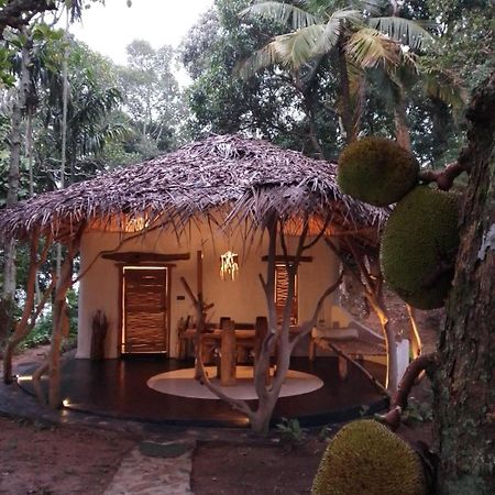 Ella Retreat Hotel Villa For Nature Lovers Екстер'єр фото